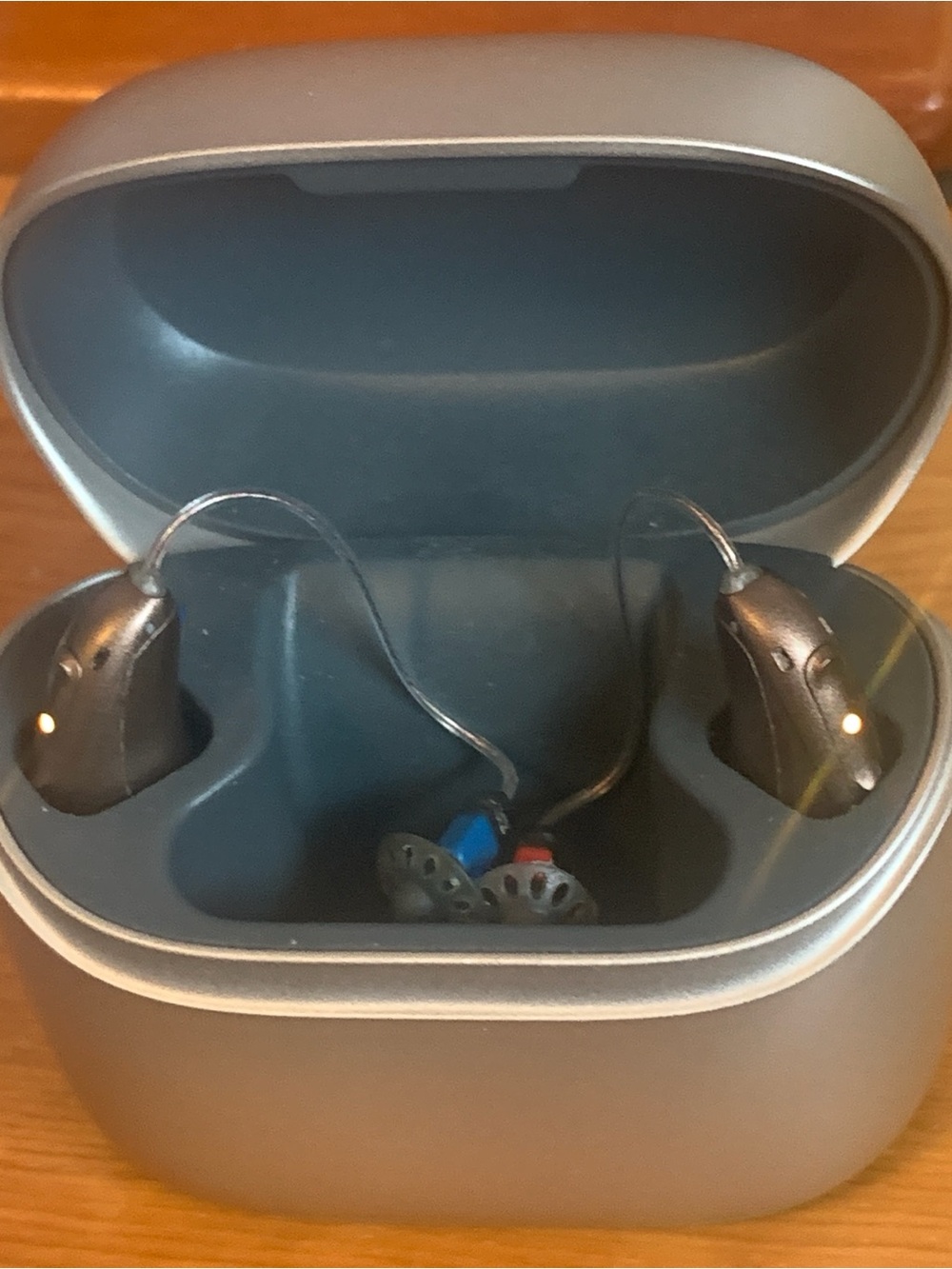 Rechargeable Behind-the-Ear Hearing Aids with Charging Case - Metallic Gold